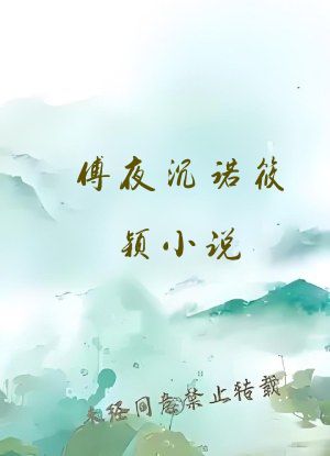 傅夜沉诺筱颖小说