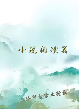 小说阅读器