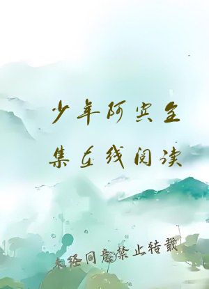 少年阿宾全集在线阅读