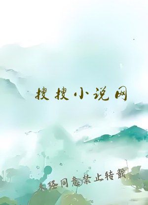 搜搜小说网